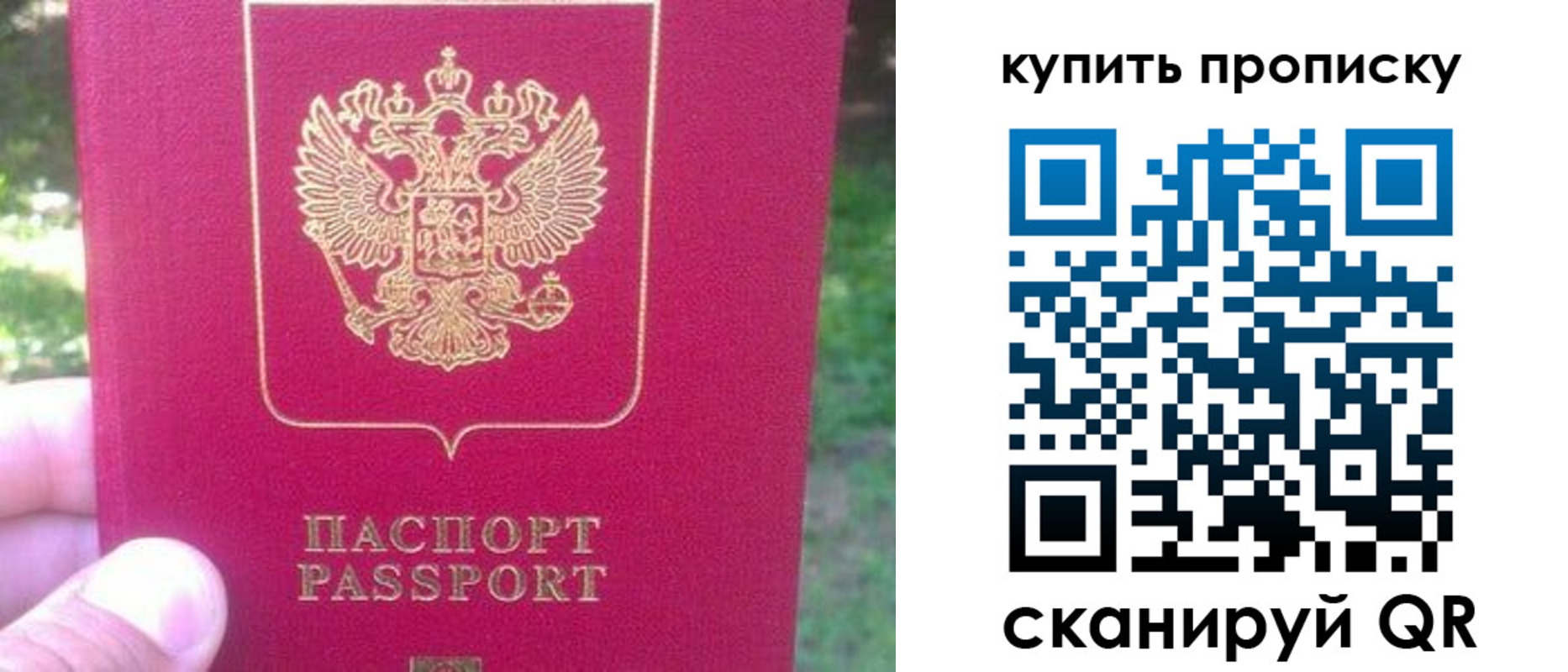 временная регистрация для школы в Железногорск-Илимском